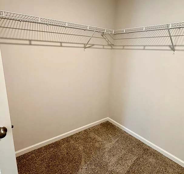 250 Boggy Creek Way — Photo 31
