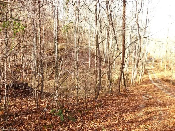 368 Clydsdale, Palestine, WV 26160