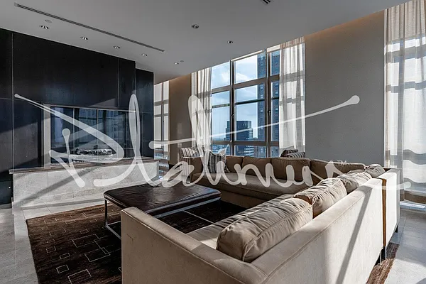 Rented by Platinum Properties | media 15