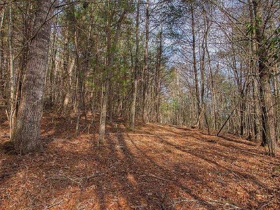 4th image of Jones Creek Ter