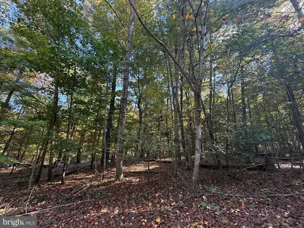 102 Southwood Ct, Cross Junction, VA 22625