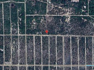 376 Washington Dr LOT 48, Hawthorne, FL 32640