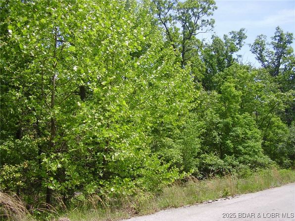 20 Silver Spur Ct, Camdenton, MO 65020