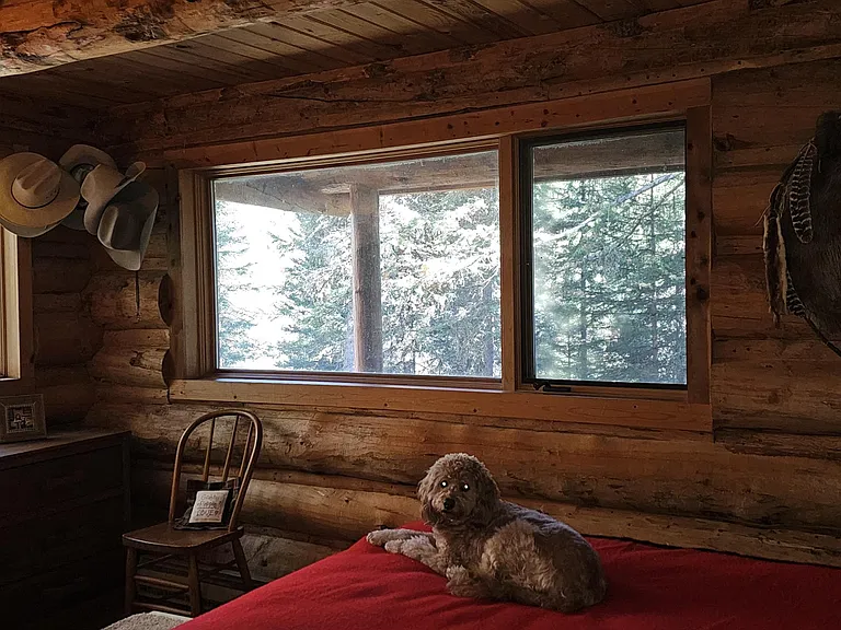 6550 Lodgepole Trl — Photo 11