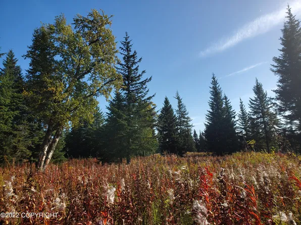 67756 Shavila Rd, Ninilchik, AK 99639