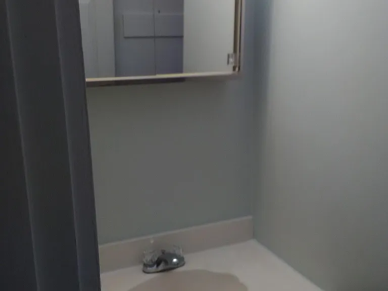 Bathroom vanity