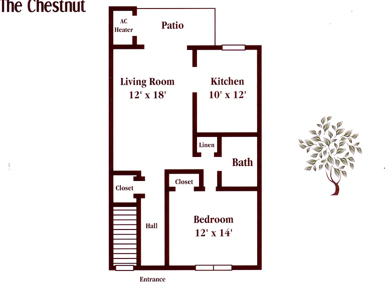 Pickwick Apartments — Photo 6