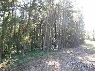 5th image of 374 County Road 1160 #24
