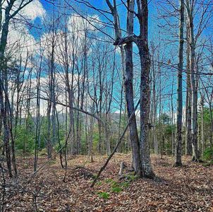 Lot 28 Knowles Hill Road West, Bristol, NH, 03222