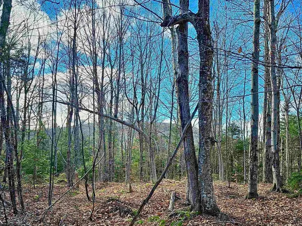 Lot 28 Knowles Hill Road West, Alexandria, NH 03222