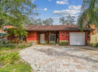 10209 N Hyaleah Rd, Tampa, FL 33617