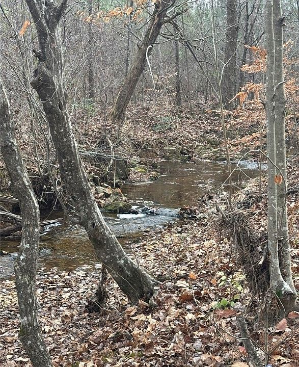 1st image of Perkins Mill Rd