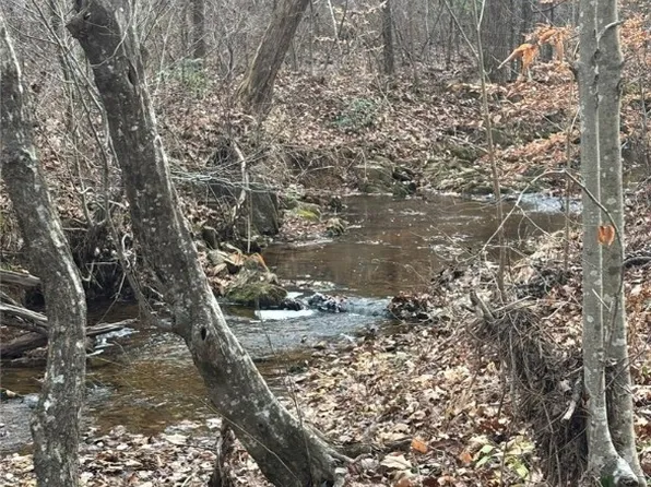 Perkins Mill Rd, Dillwyn, VA 23936
