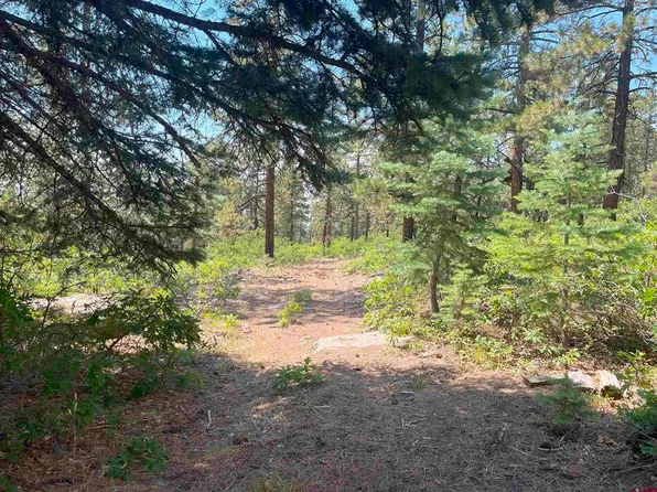 17 Snow Way Drive, Bayfield, CO 81122