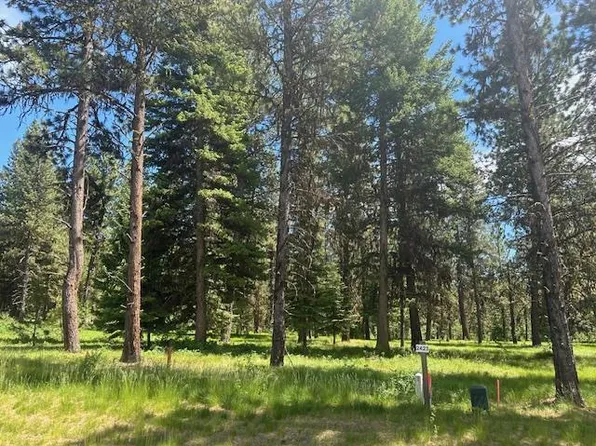 11 Vernon Ct, McCall, ID 83638