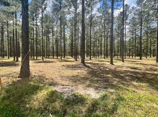 3 Ashley Cir, Conway, SC 29526