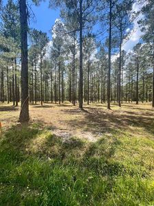 Lot 3 Ashley Circle, Conway, SC, 29526