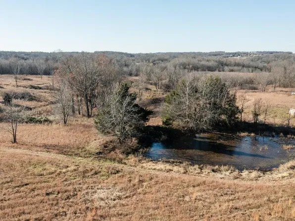 Tract 3&4 Farm Road 132, Bois D Arc, MO 65612