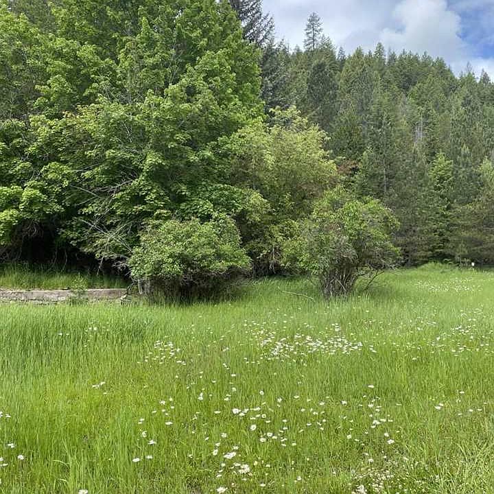 2nd image of 2831 Cedar Creek Rd