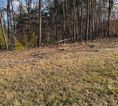 2nd image of 0 Jonesmill Ln Lot C