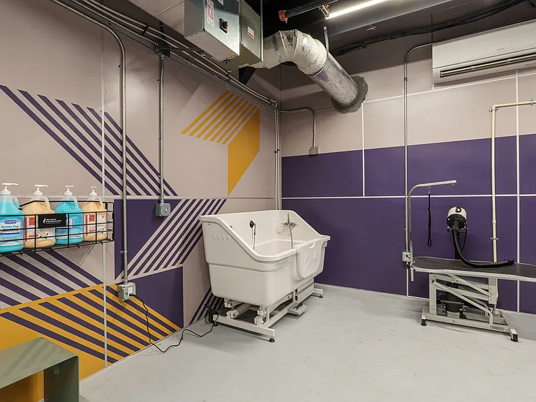 Mural at Stovehouse — Photo 90