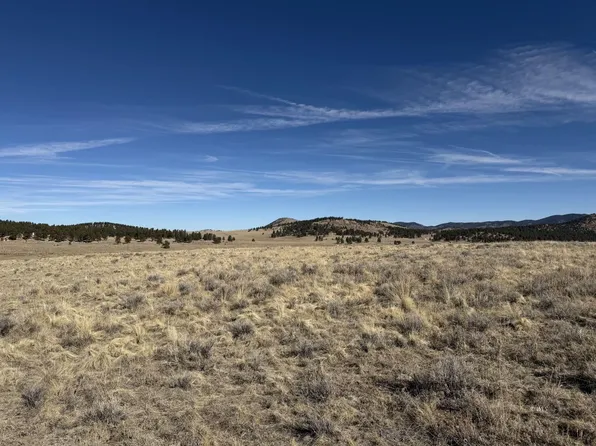 532 Atlasta Dr, Westcliffe, CO 81252