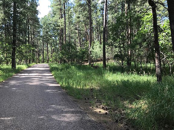 Main Driveway