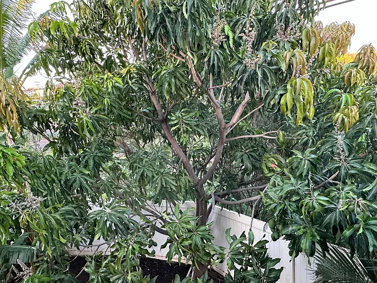 10 Heona Pl — Photo 38