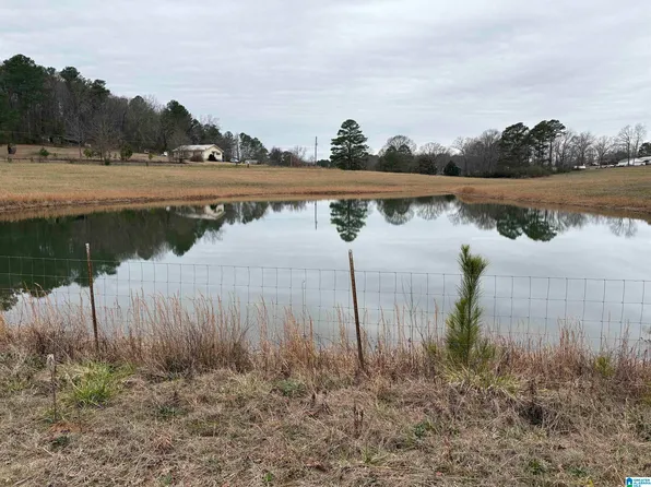 3349 Nail Rd, Warrior, AL 35180