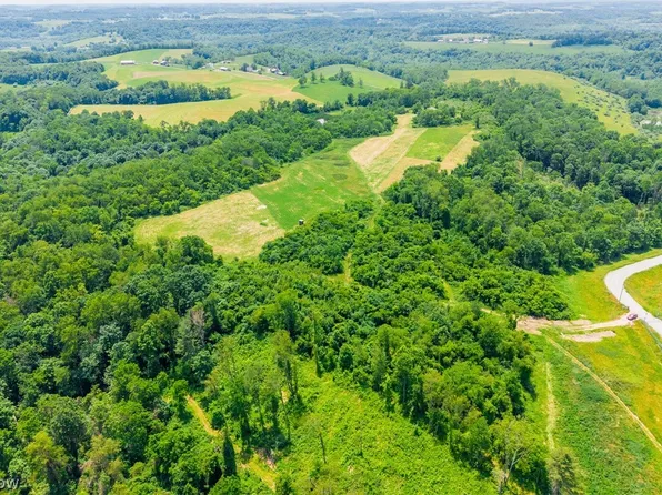 72645 Henderson Ridge Rd, Saint Clairsville, OH 43950