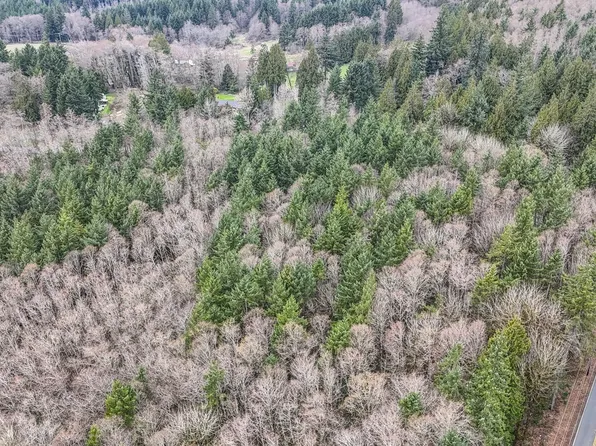 Neer City Rd, Rainier, OR 97048