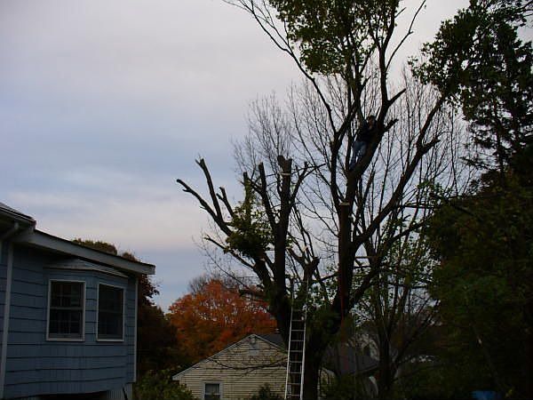 2nd image of 36 Lawrence Ln