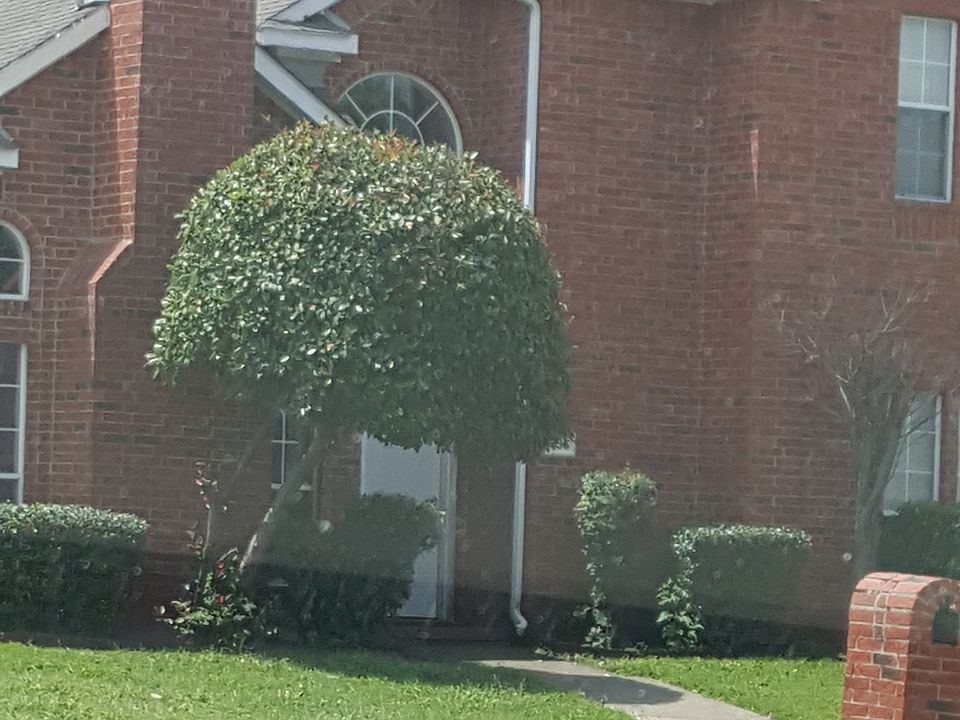 1st image of 3936 Shumard Oak Dr