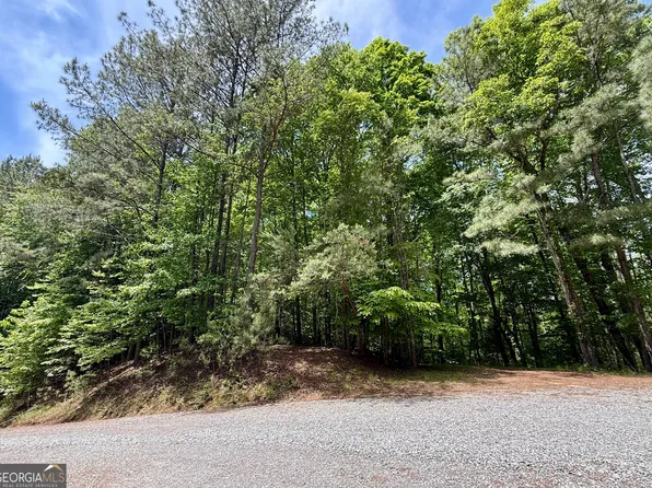 0 Nectar Ln, Ellijay, GA 30540
