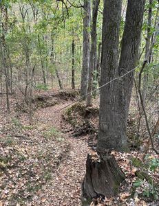 County Road 389, Bono, AR, 72416