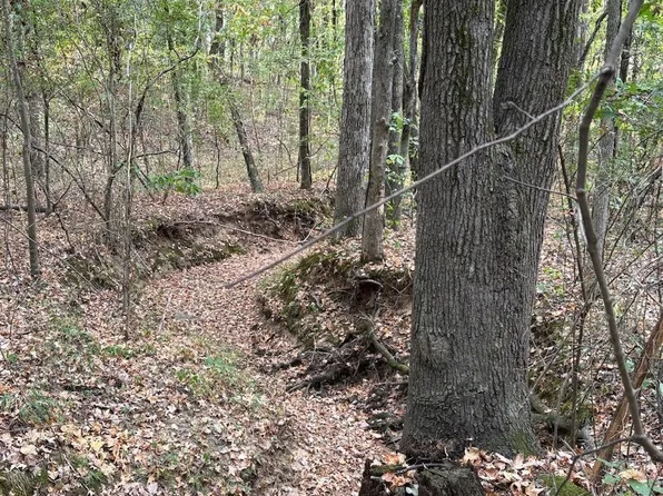 County Road 389, Bono, AR 72416