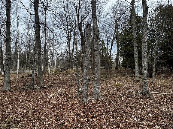 3rd image of Wickman Rd