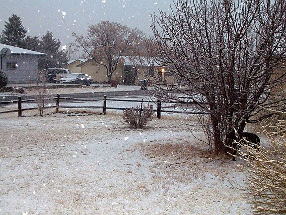 front yard