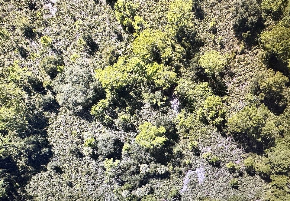 2nd image of 2109 Moore Ave