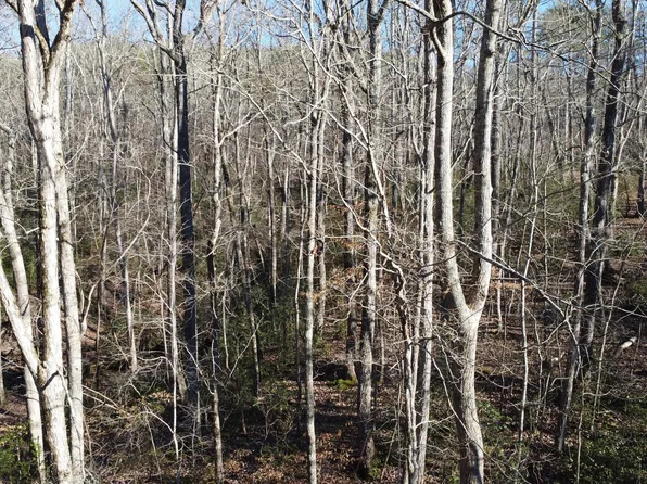 64 Woodlawn Dr, Cleveland, GA 30528