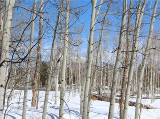 568 Dry Lake Rd, Fairplay, CO 80440