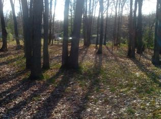 Seminole Drive, Howard City, MI 49329