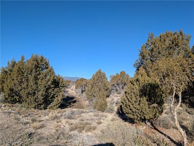 Ponderosa Pine St, Pioche, NV, 89043