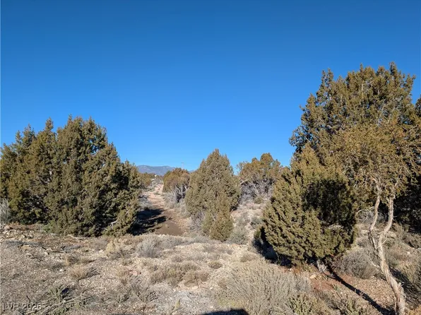 Ponderosa Pine St, Pioche, NV 89043