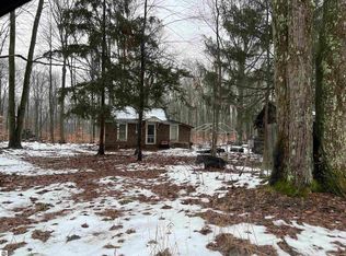 9919 Nichols Rd, Cadillac, MI 49601