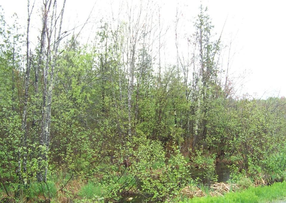 2nd image of 0 Hope Road