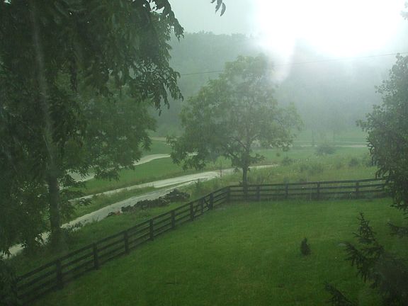 view from porch