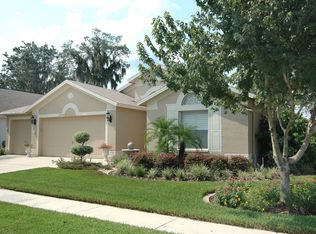 2640 Allwood Ave, Valrico, FL 33596