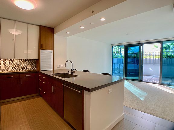 Kitchen/Living Area