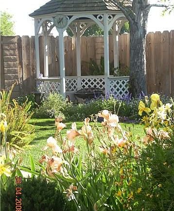 back yard